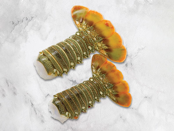 Frozen Lobster Tail 100-200gm
