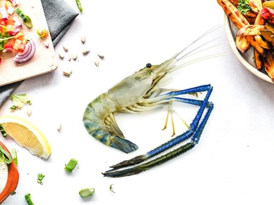 Fresh Water Scampi Frozen