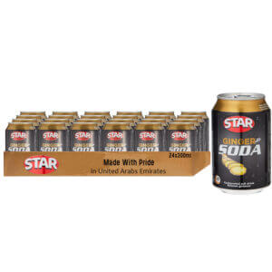 Star Ginger Soda 24X330Ml
