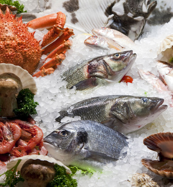 Premium Seafood